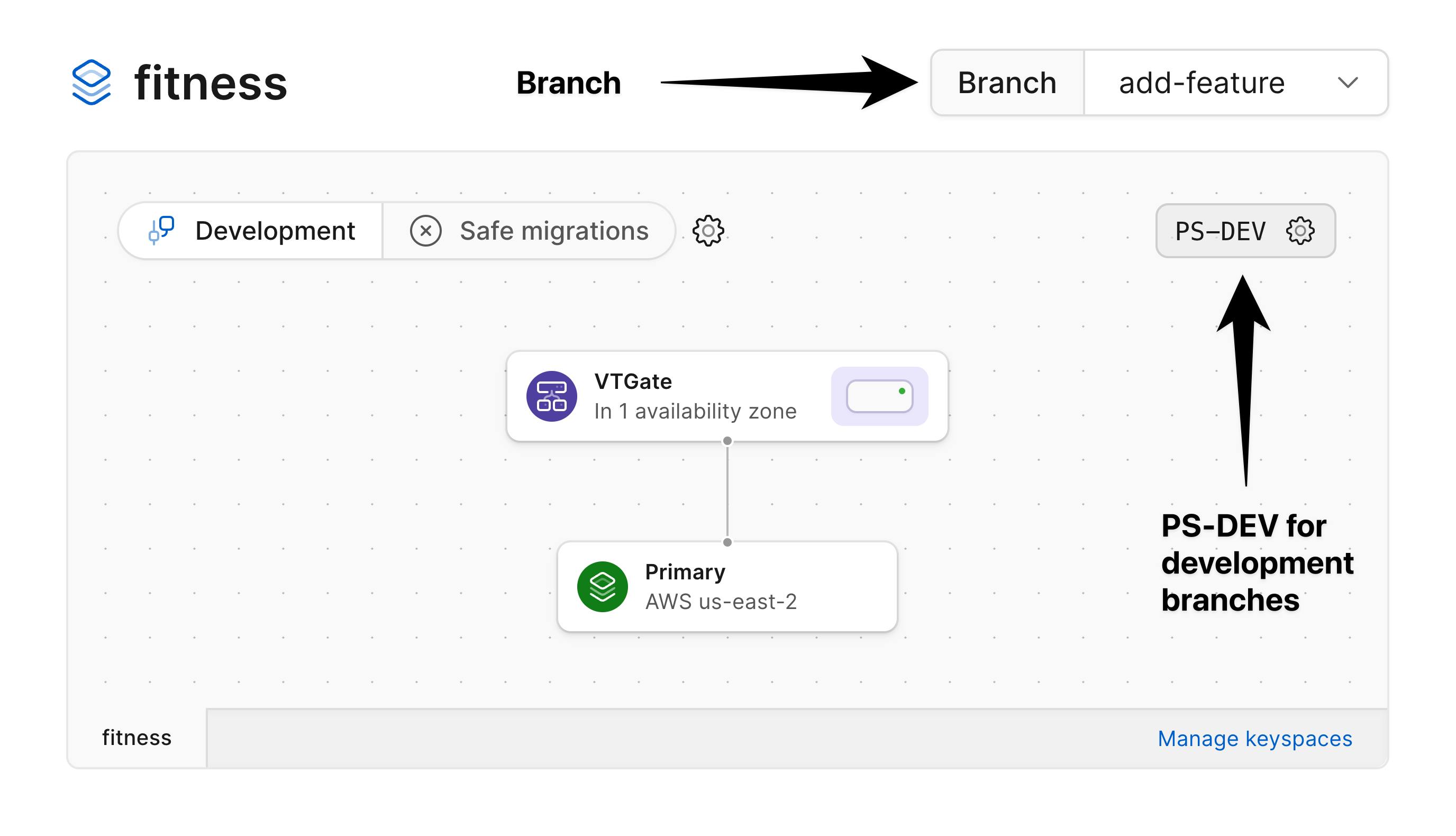 Development branch architecture