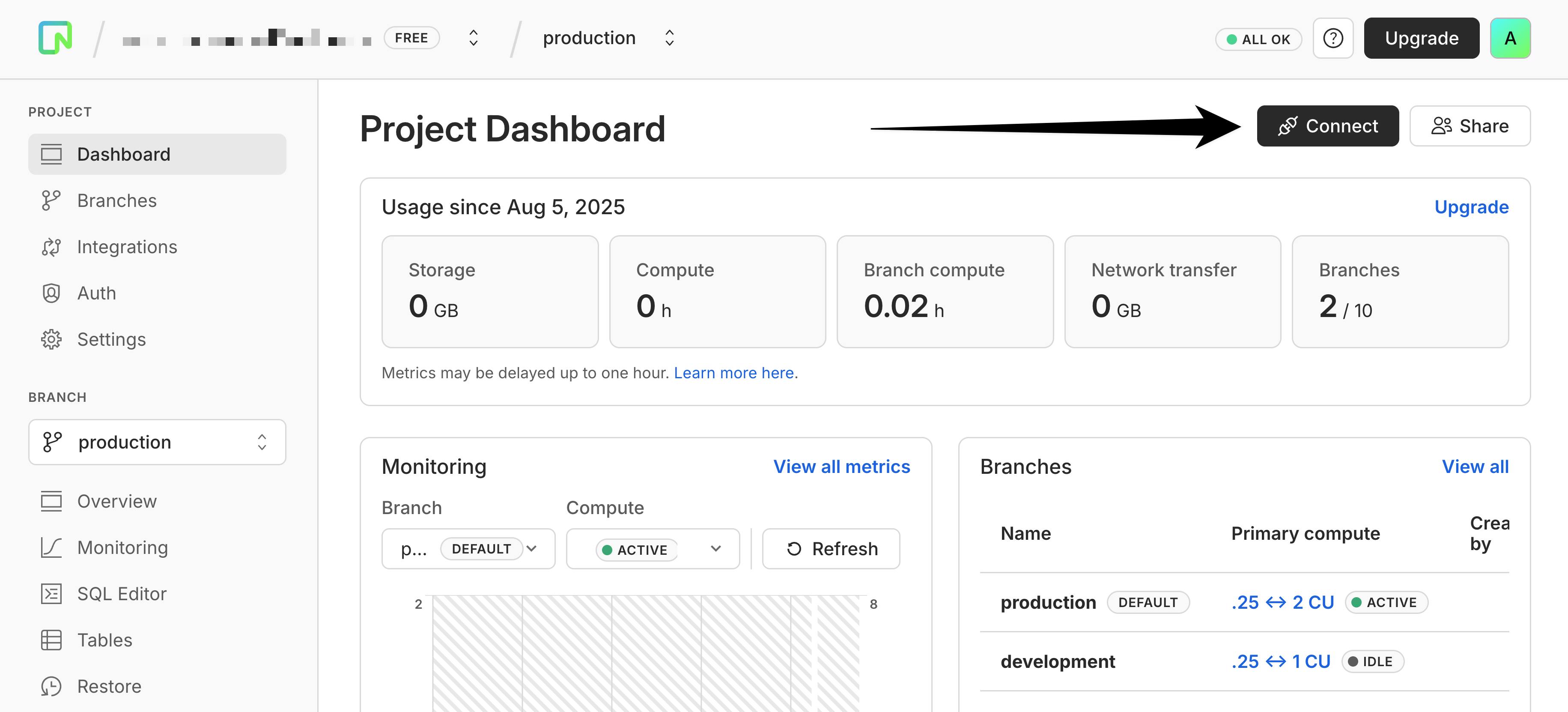 Neon dashboard connect